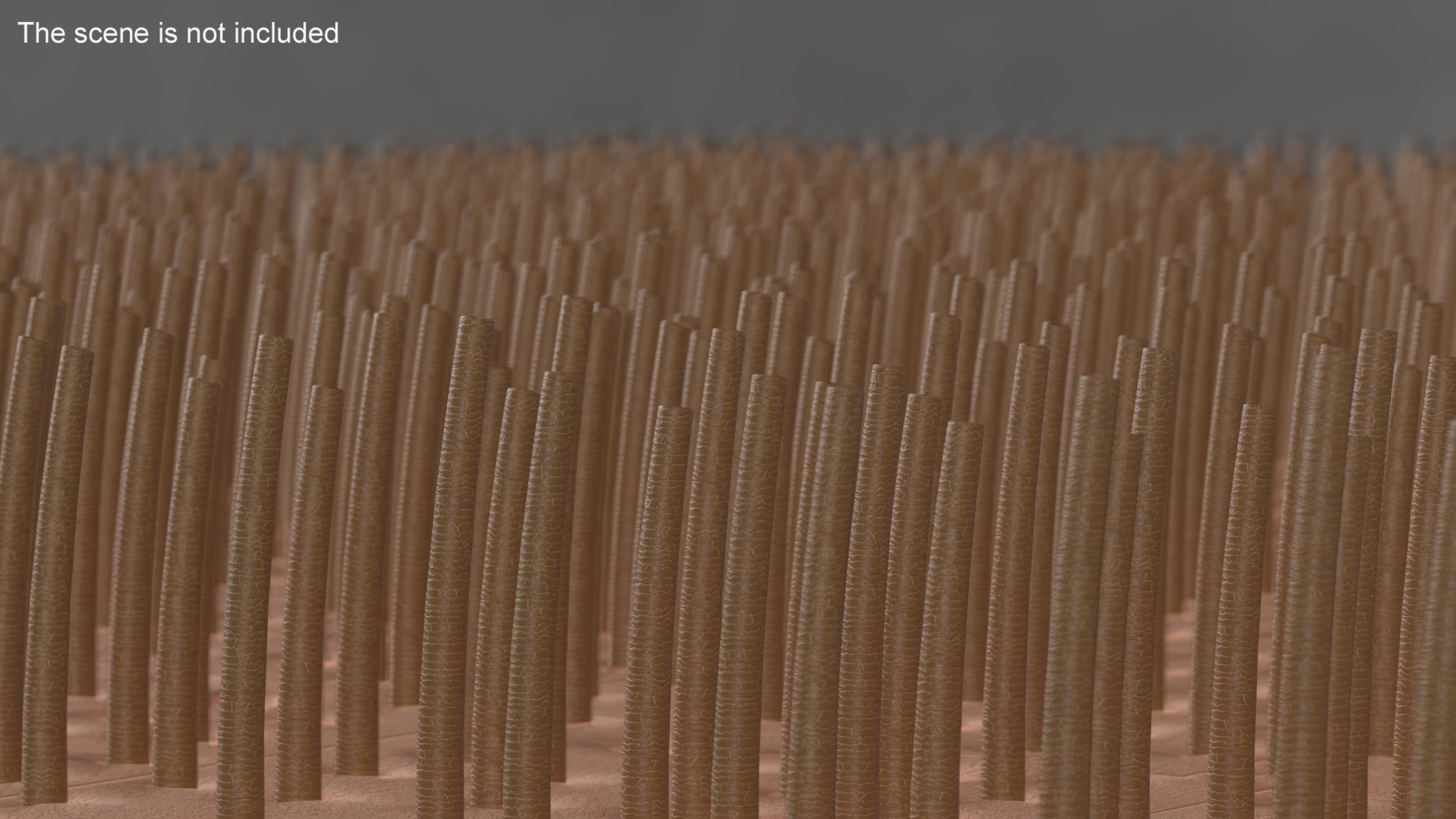 3D Brown Hair Under the Microscope