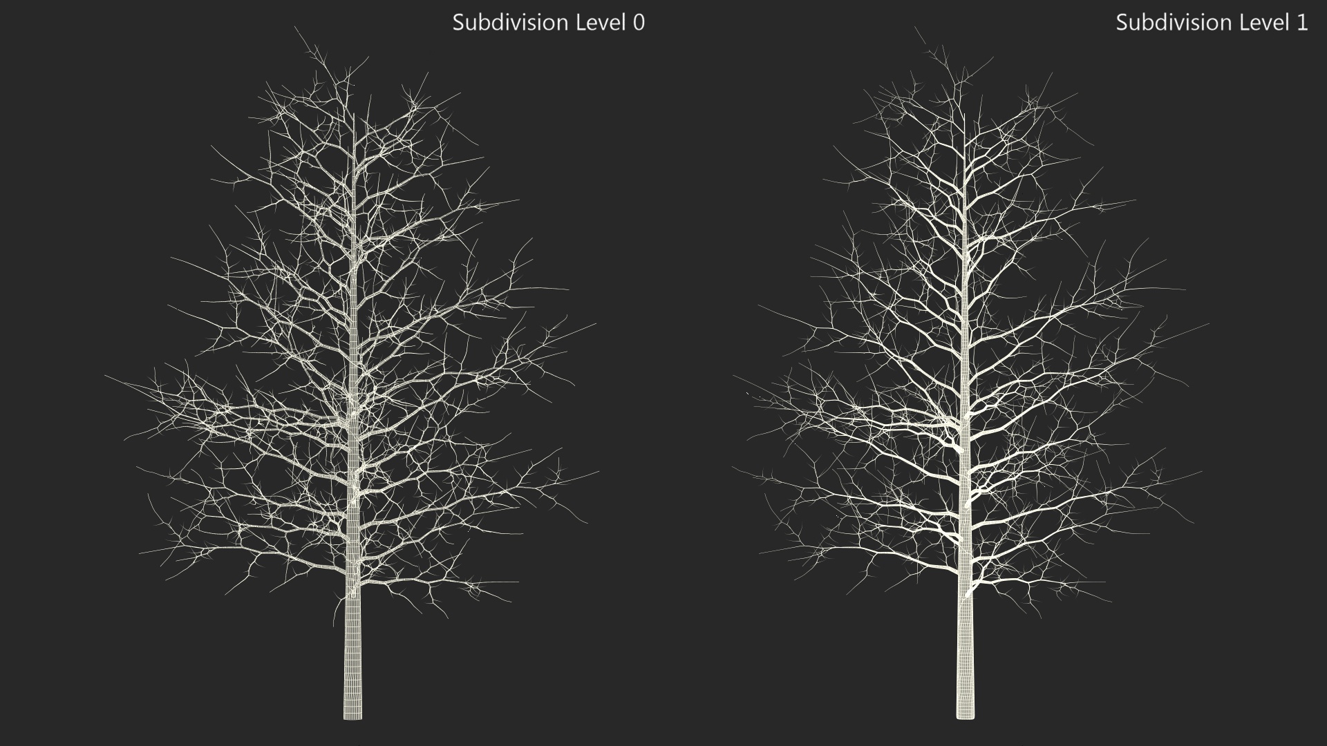 3D model Winter Bare Oak Tree