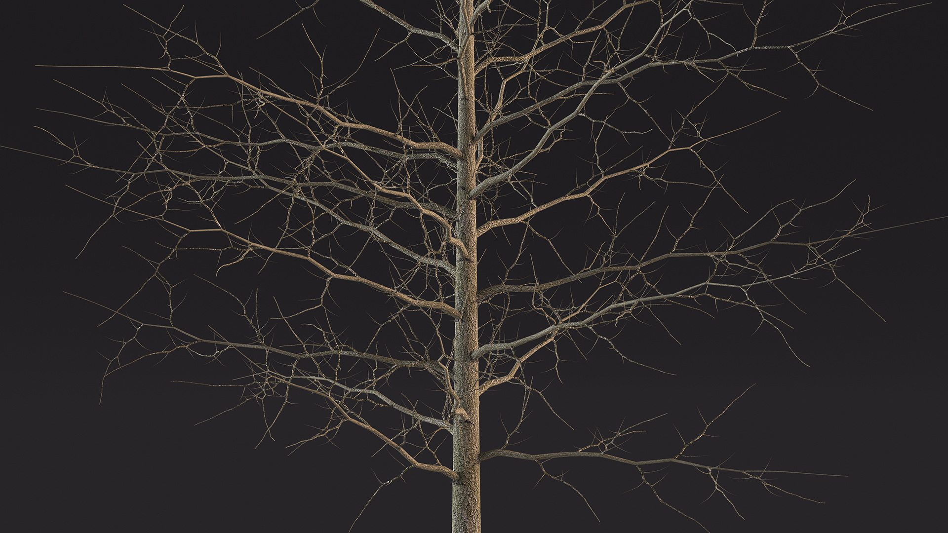3D model Winter Bare Oak Tree