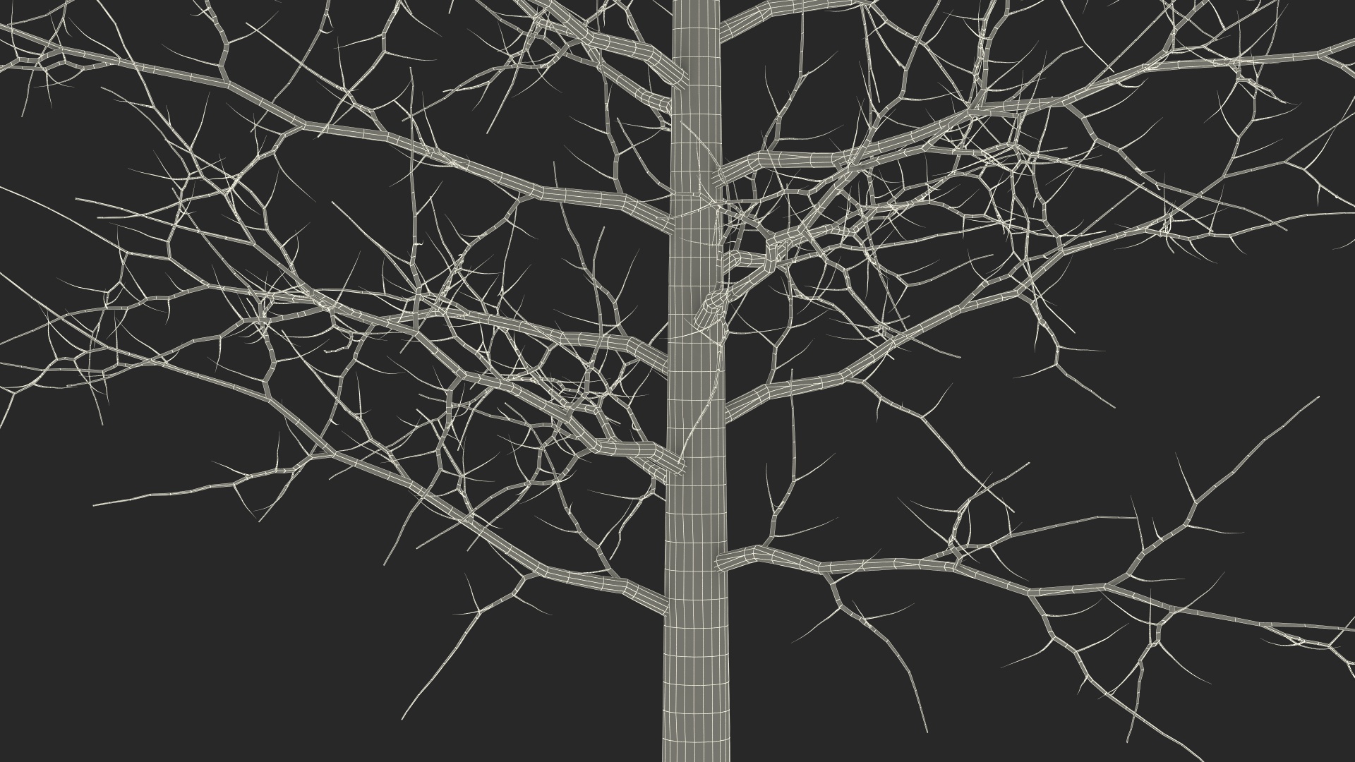 3D model Winter Bare Oak Tree