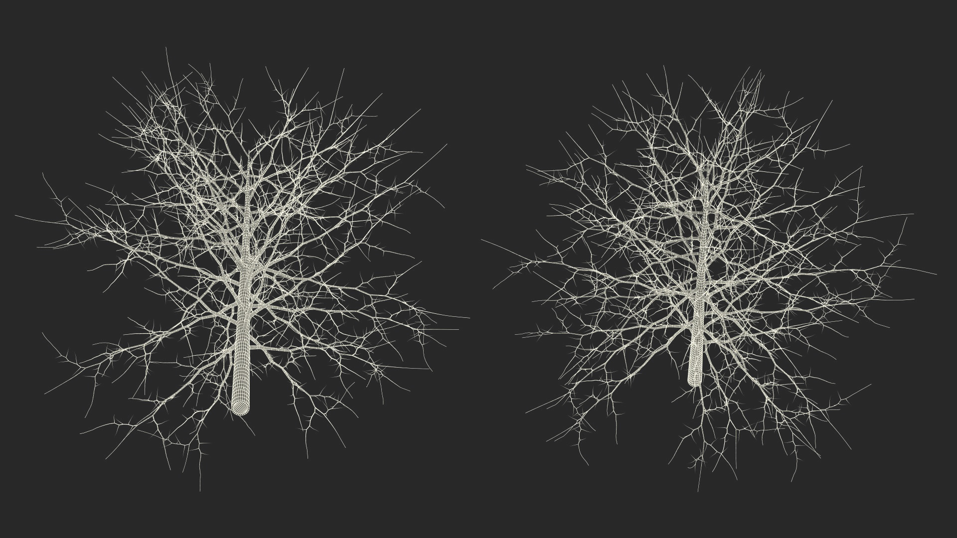 3D model Winter Bare Oak Tree