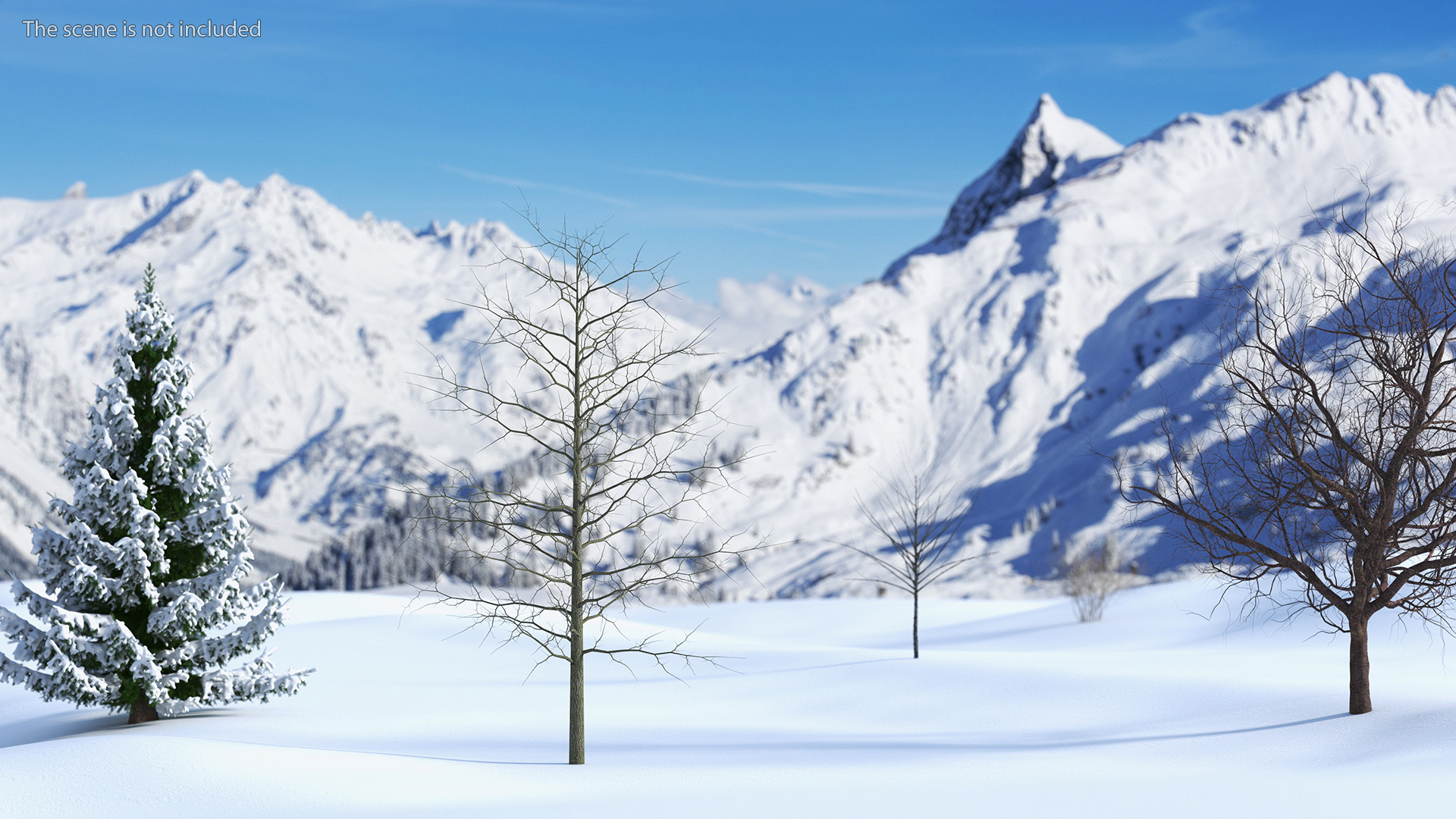 3D model Winter Bare Oak Tree