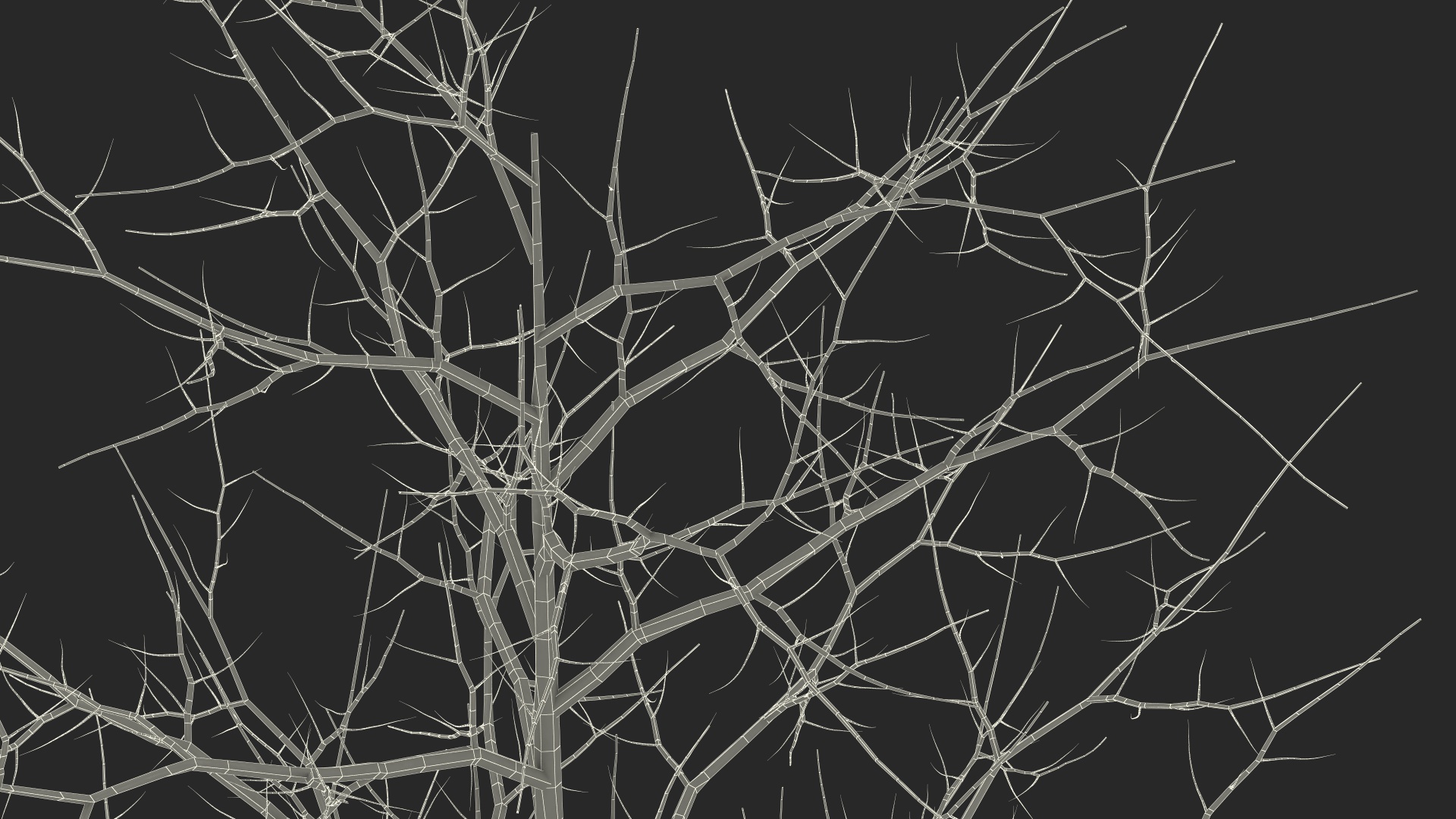 3D model Winter Bare Oak Tree