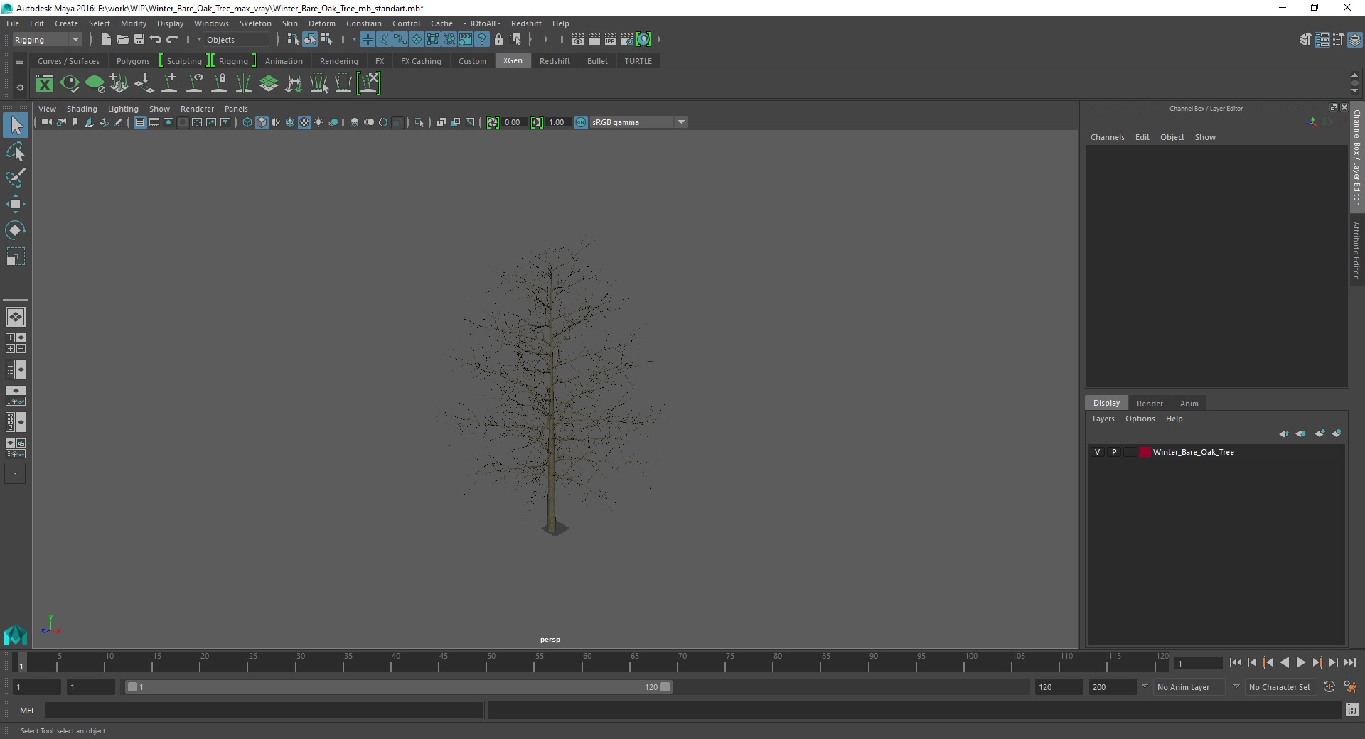 3D model Winter Bare Oak Tree