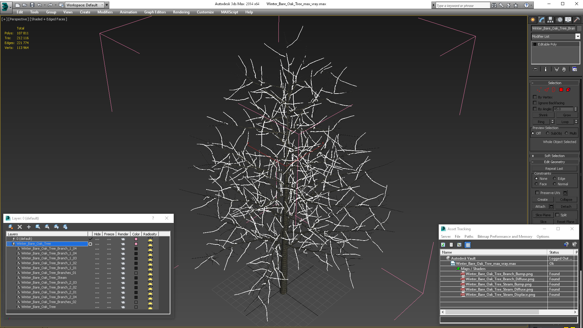 3D model Winter Bare Oak Tree