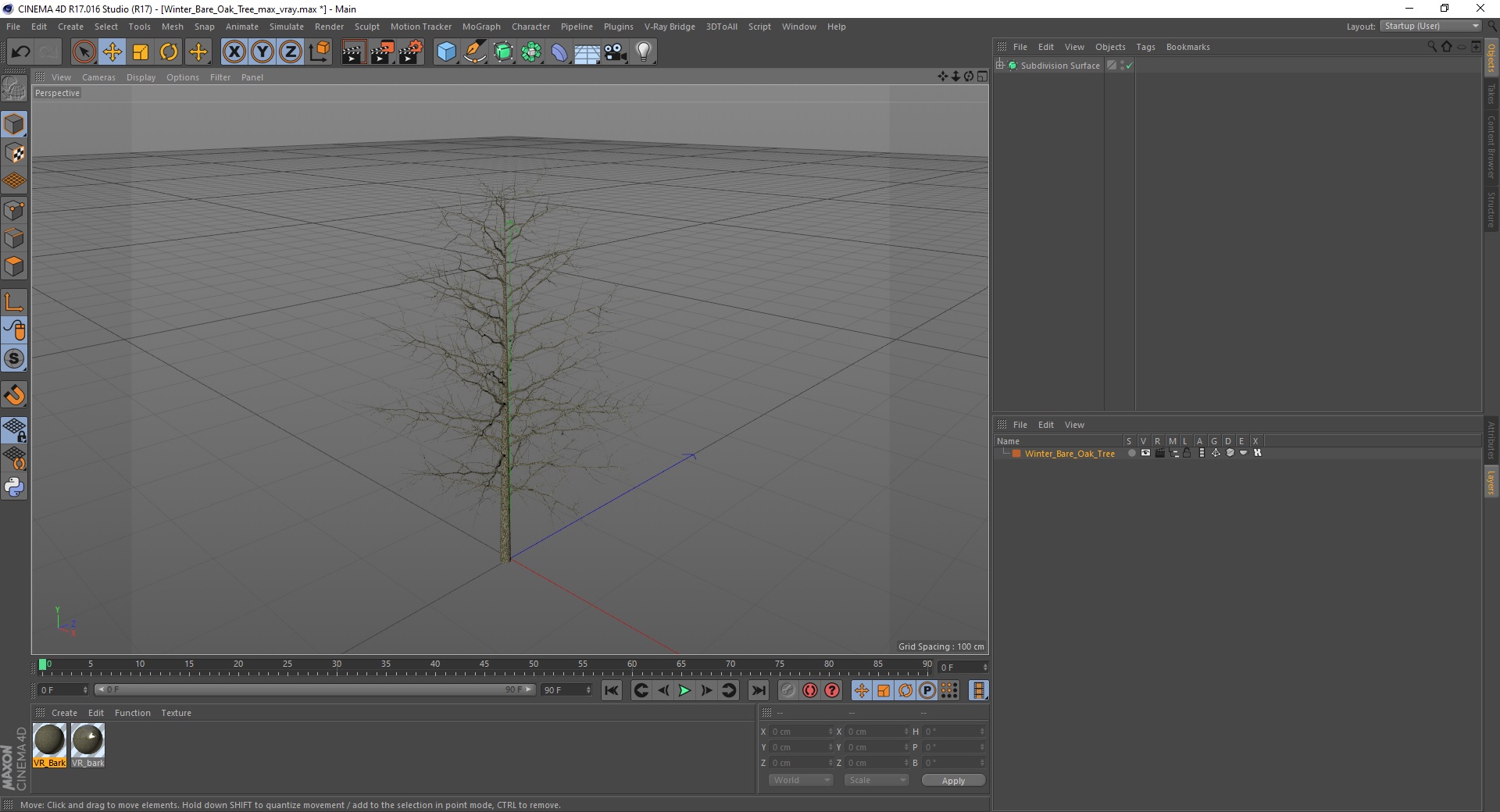 3D model Winter Bare Oak Tree