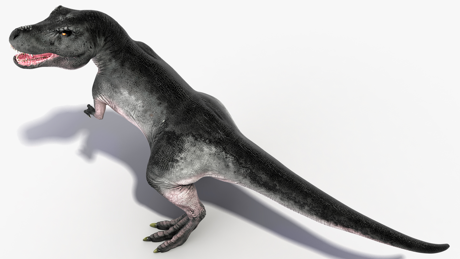 3D T Rex Stand Pose