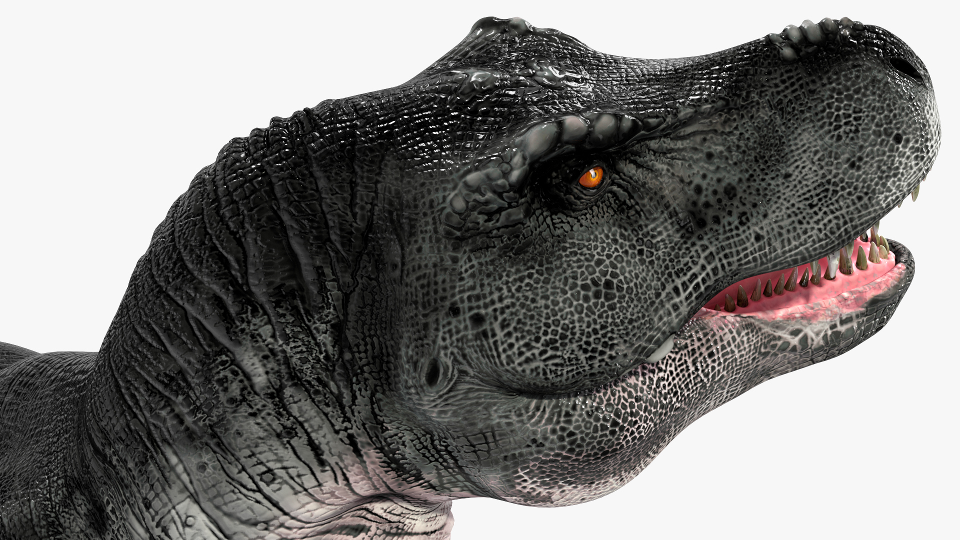 3D T Rex Stand Pose
