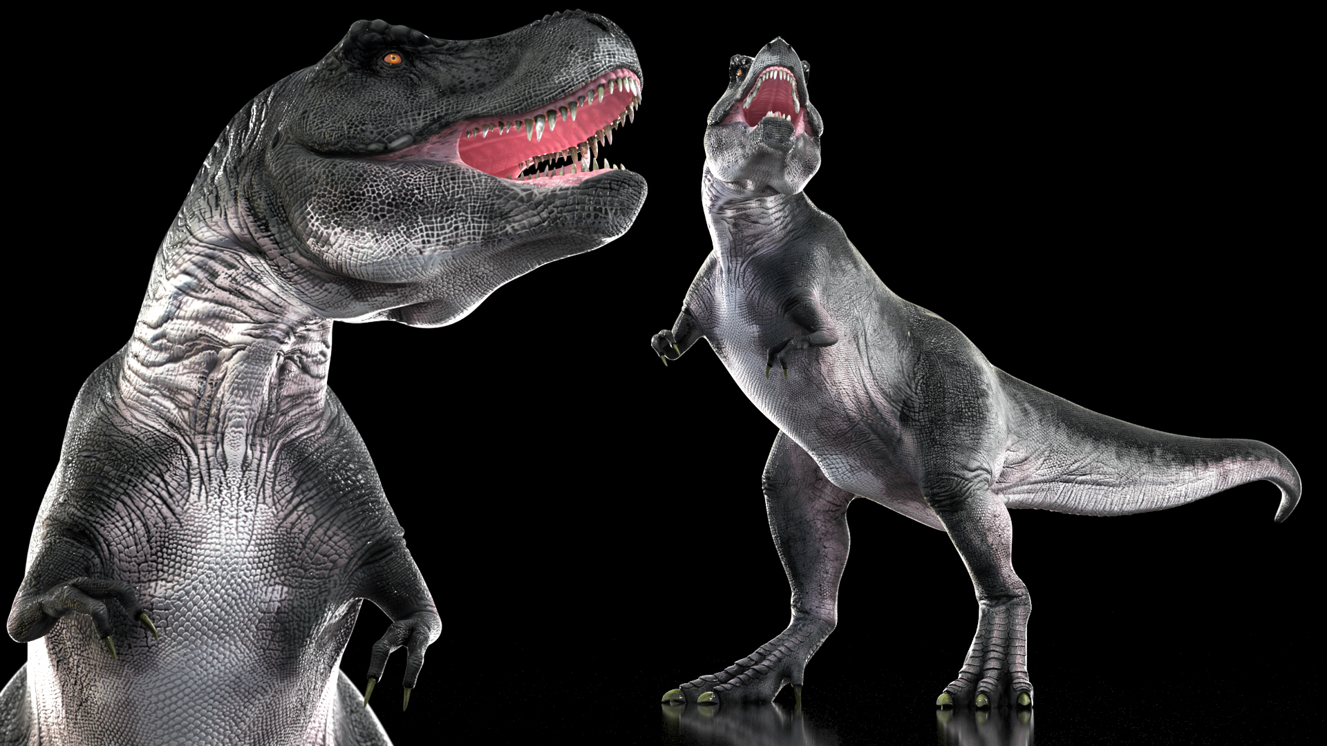 3D T Rex Stand Pose
