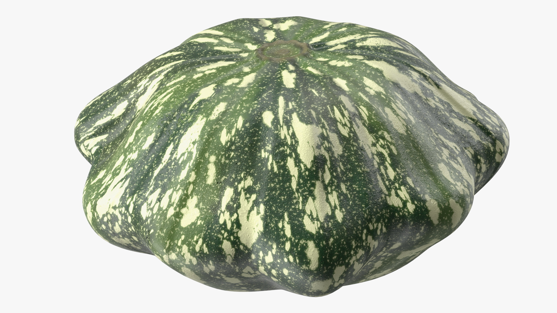 Green Color Bush Pumpkin 3D model