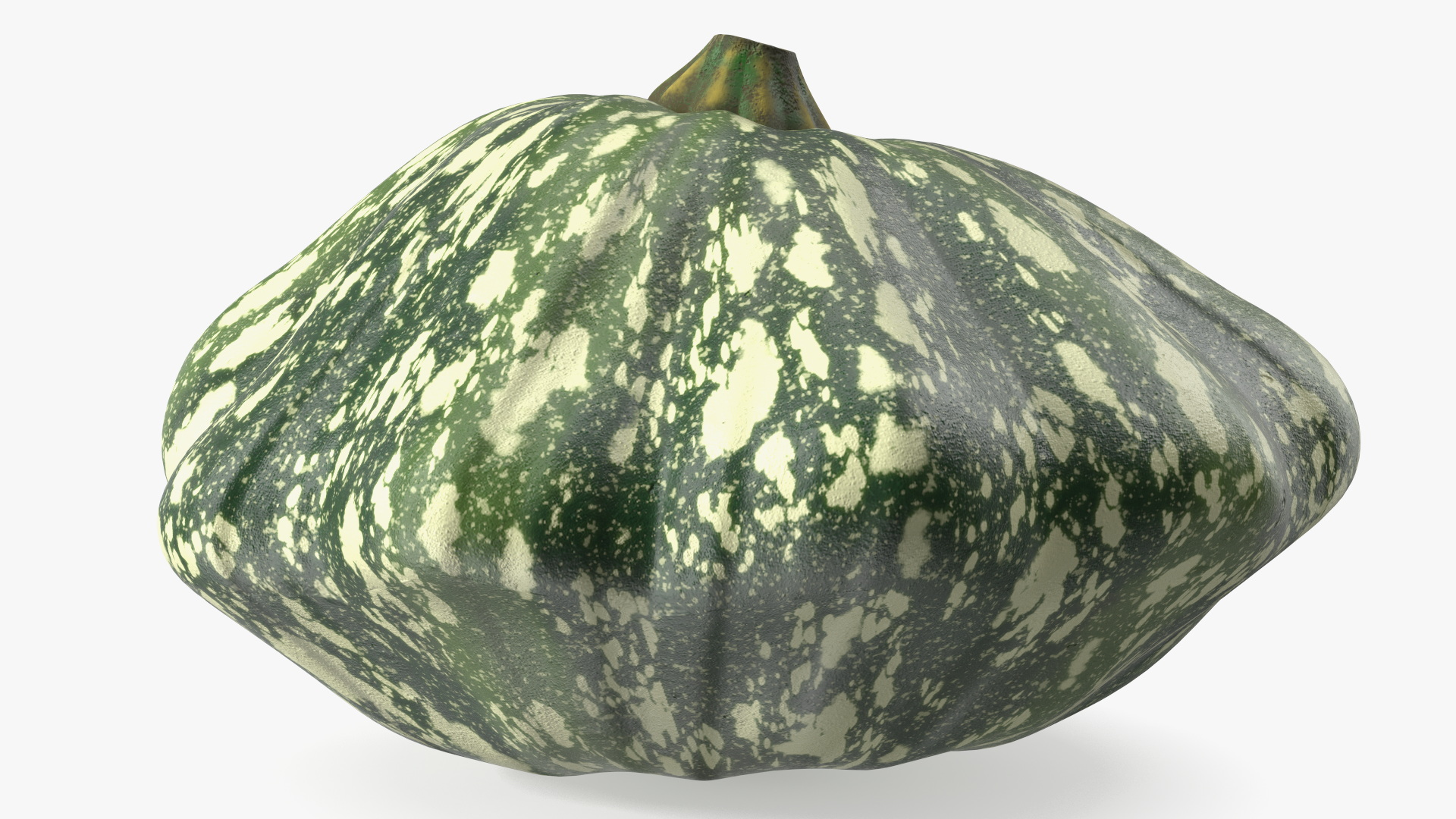 Green Color Bush Pumpkin 3D model