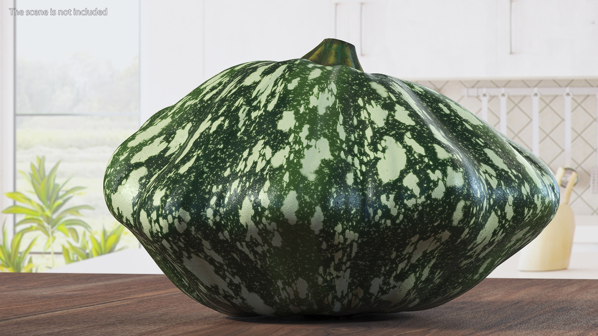 Green Color Bush Pumpkin 3D model