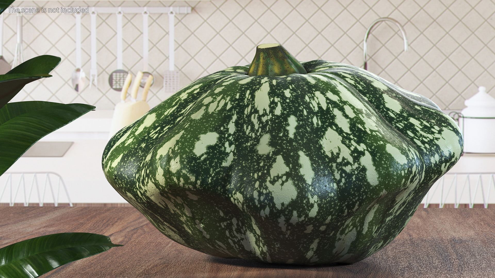 Green Color Bush Pumpkin 3D model