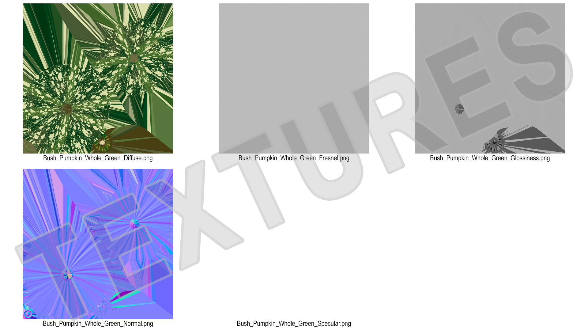 Green Color Bush Pumpkin 3D model