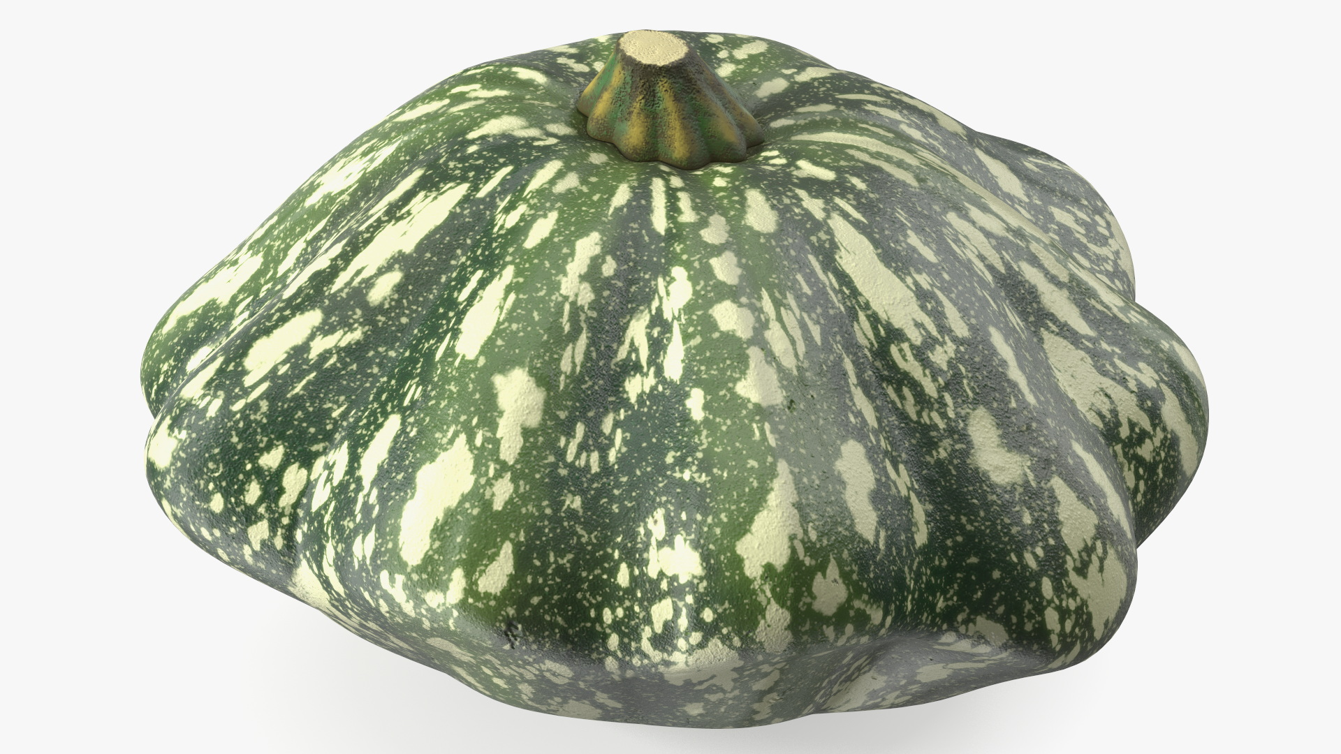 Green Color Bush Pumpkin 3D model