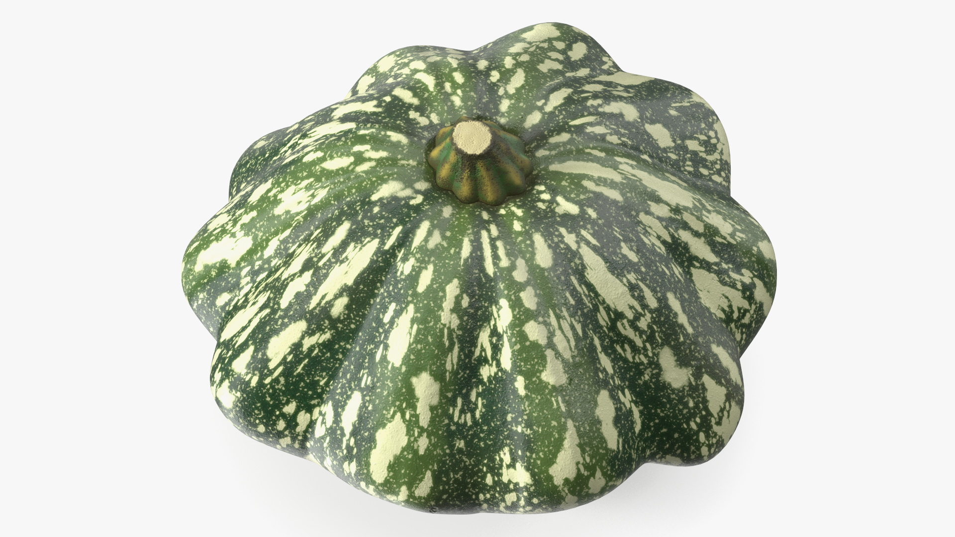 Green Color Bush Pumpkin 3D model