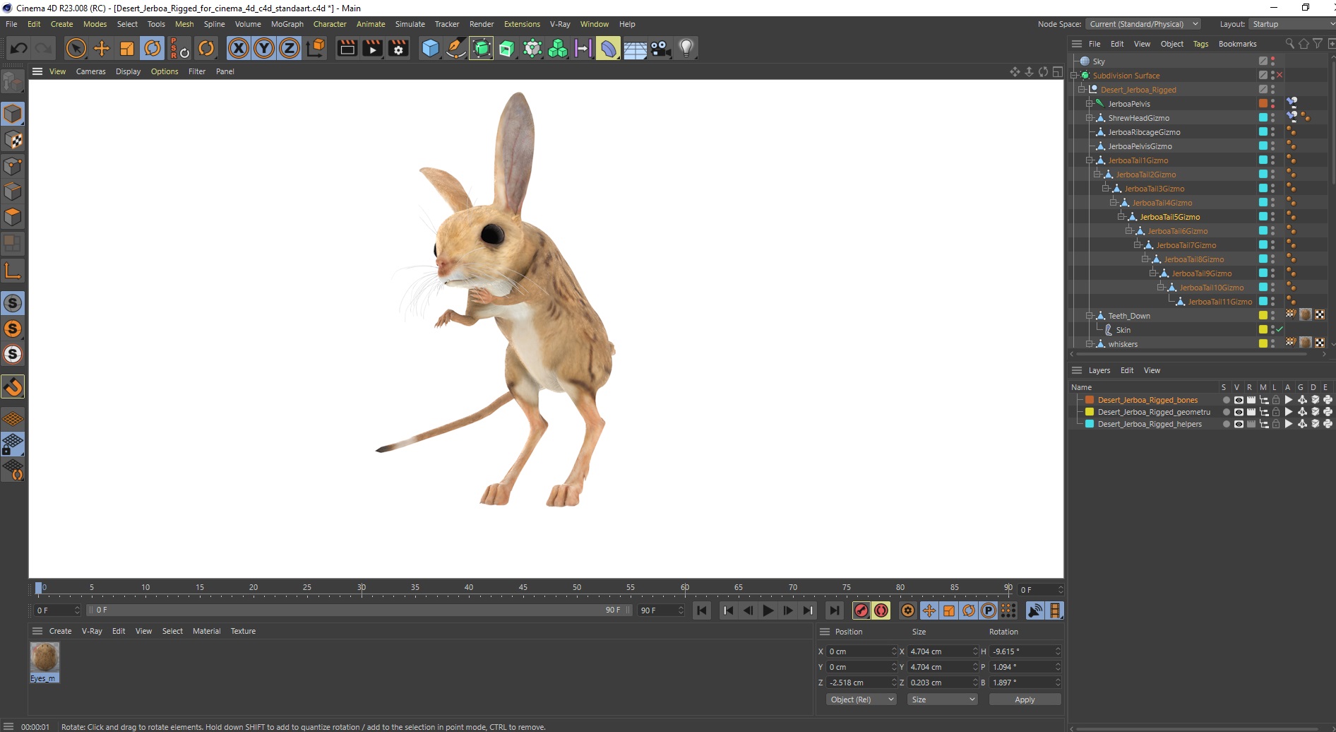 Desert Jerboa Rigged for Cinema 4D 3D model