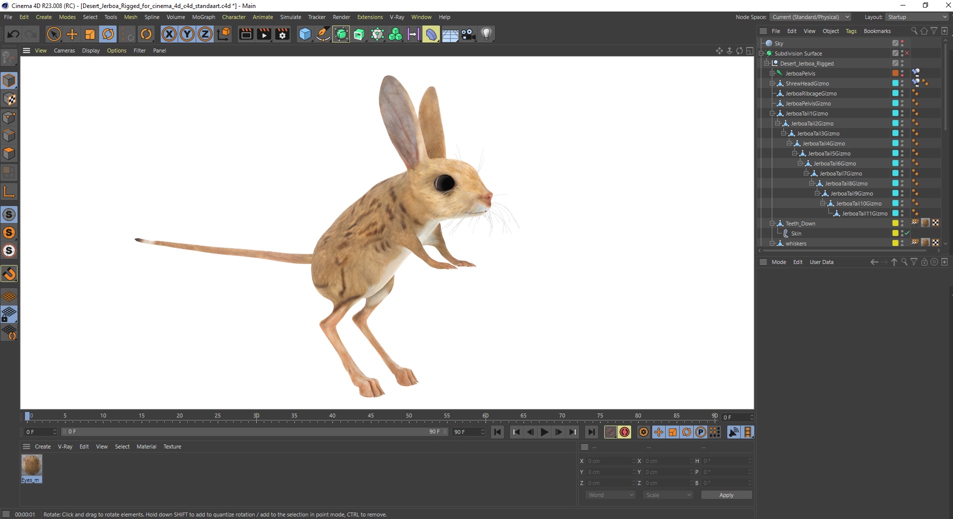 Desert Jerboa Rigged for Cinema 4D 3D model