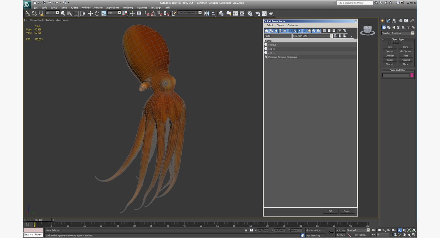 3D Common Octopus Swimming model