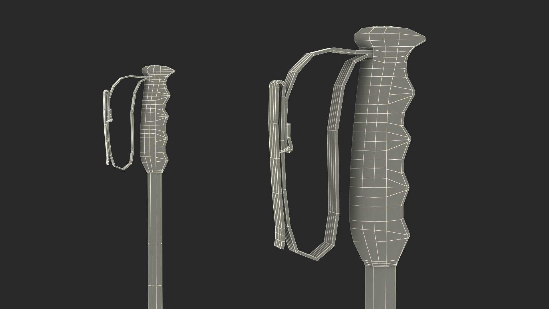 3D model Ski Boots with Poles