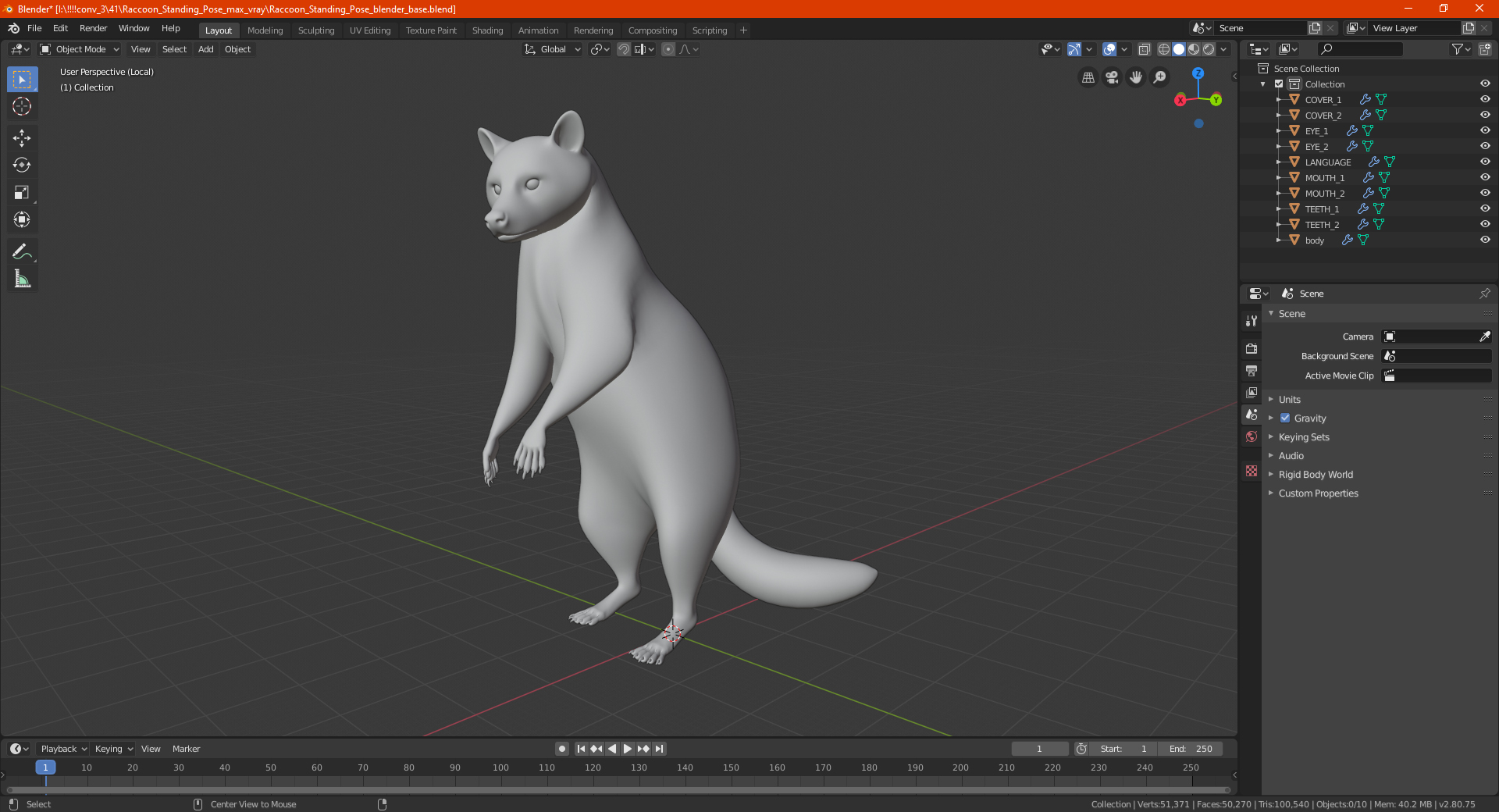 3D Raccoon Standing Pose