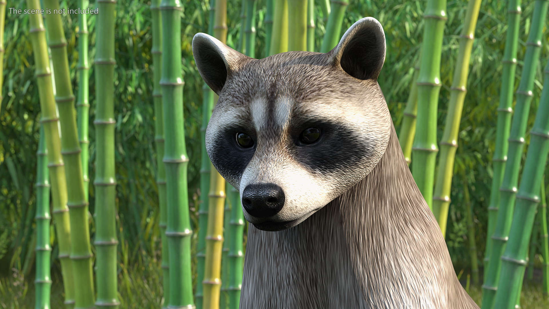3D Raccoon Standing Pose