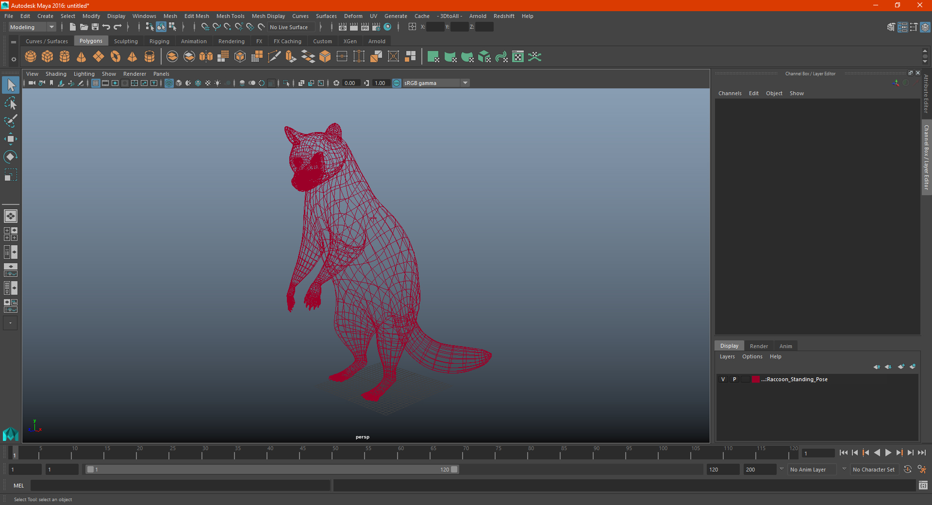 3D Raccoon Standing Pose