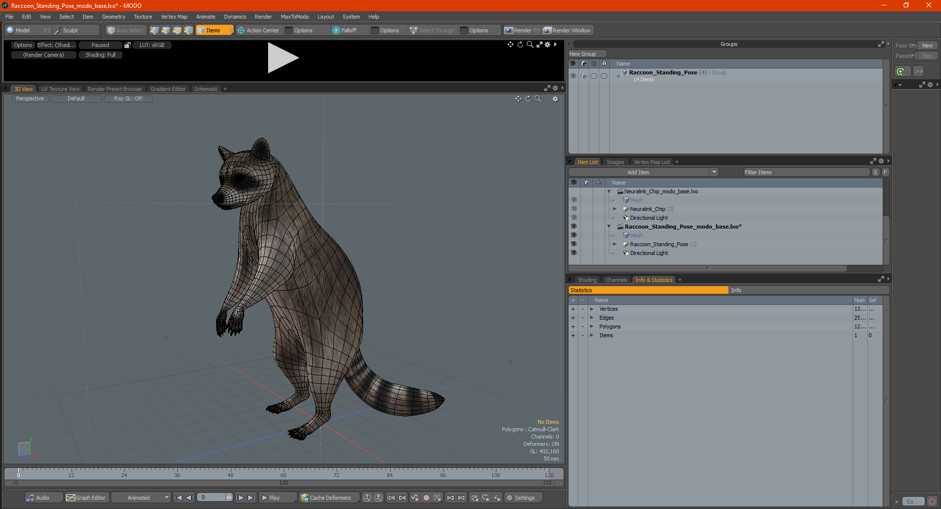 3D Raccoon Standing Pose