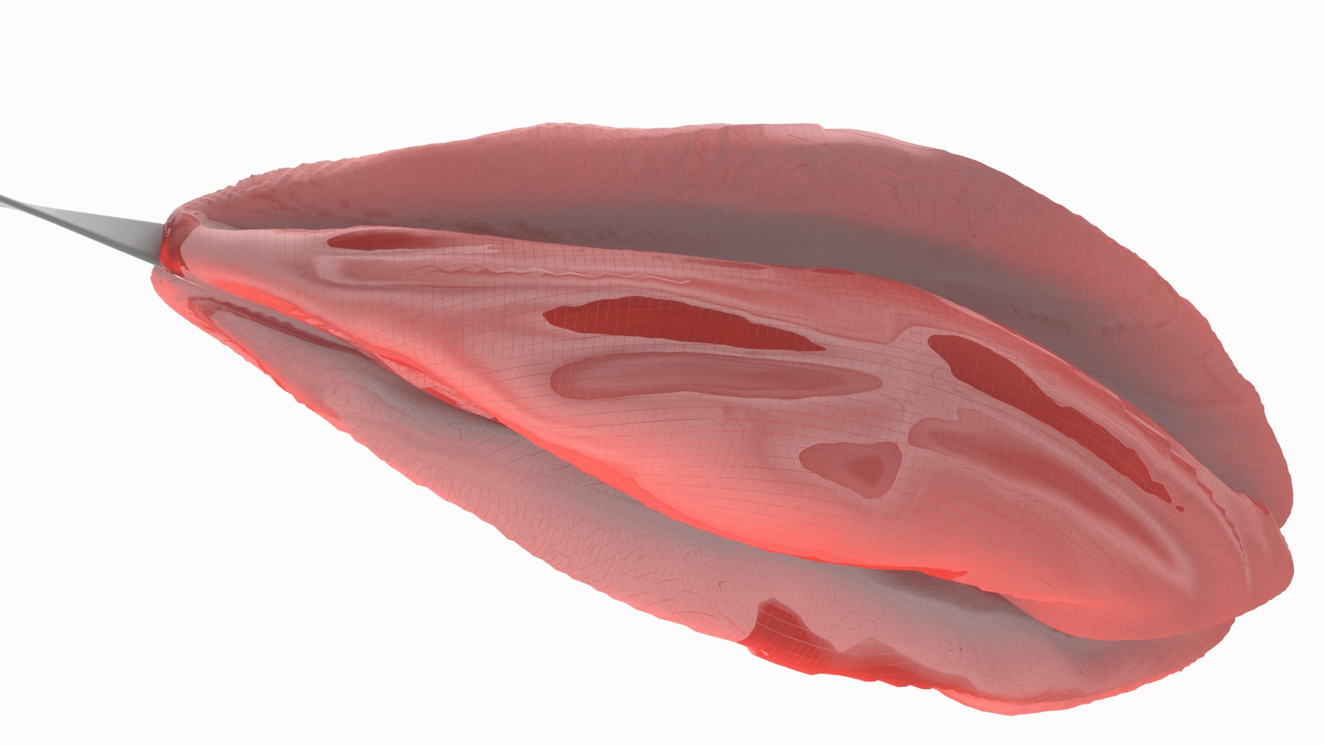 3D Parafoil Parachute model
